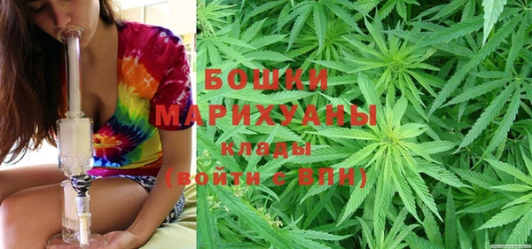 PSILOCYBIN Кодинск