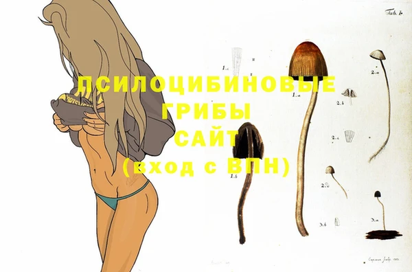 шишки Козловка
