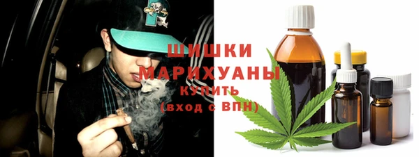 PSILOCYBIN Кодинск