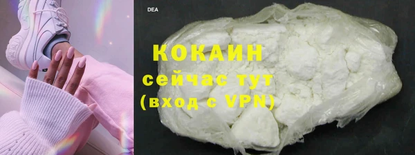 шишки Козловка