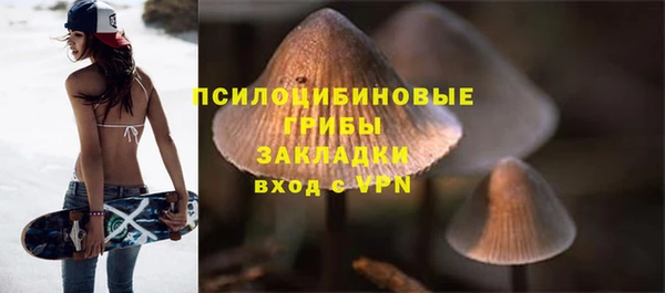 PSILOCYBIN Кодинск