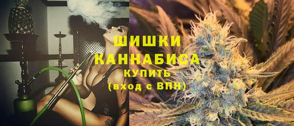 PSILOCYBIN Кодинск