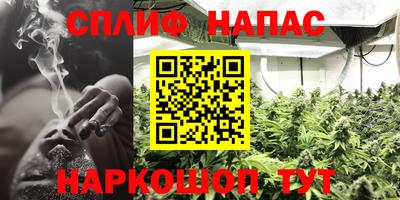 гидра Апшеронск