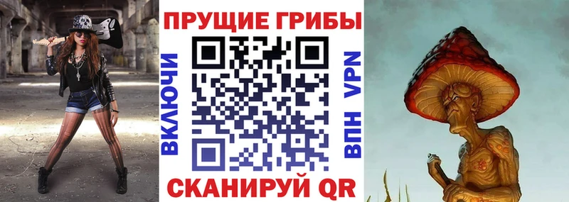 мориарти официальный сайт  как найти закладки  Великий Новгород  Галлюциногенные грибы Psilocybine cubensis 