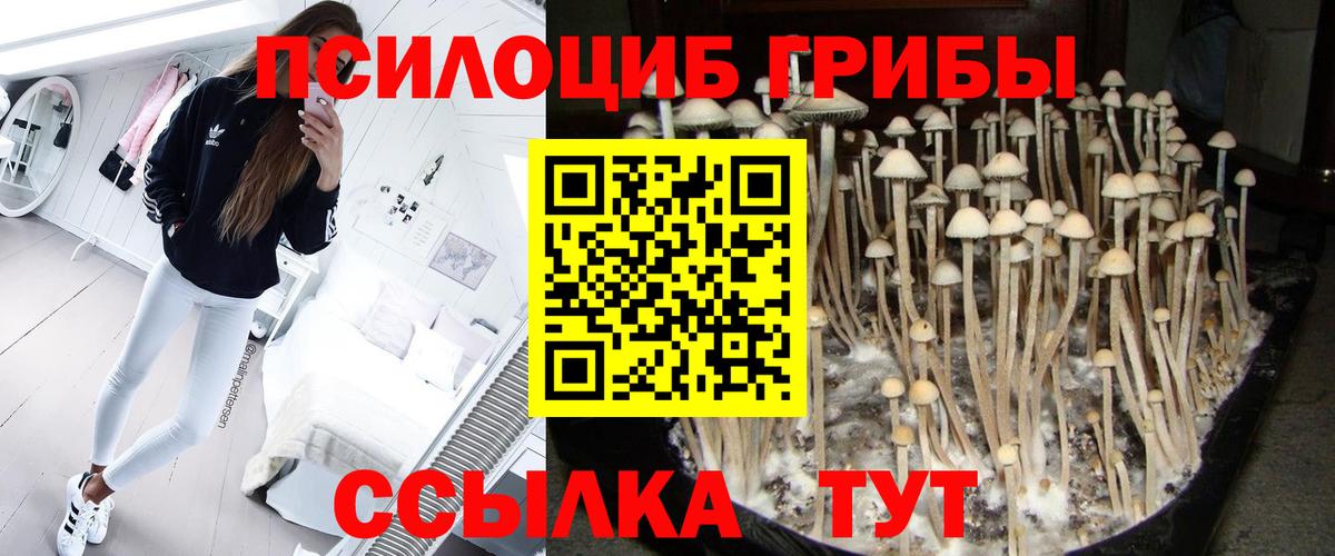 Великий Новгород  Псилоцибиновые грибы мухоморы  Вход с VPN 