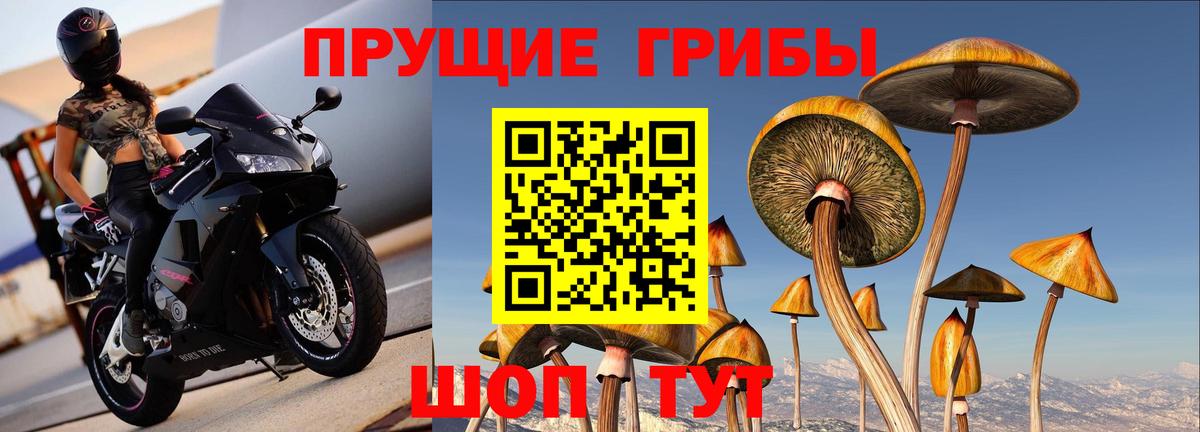 Псилоцибиновые грибы ЛСД Великий Новгород