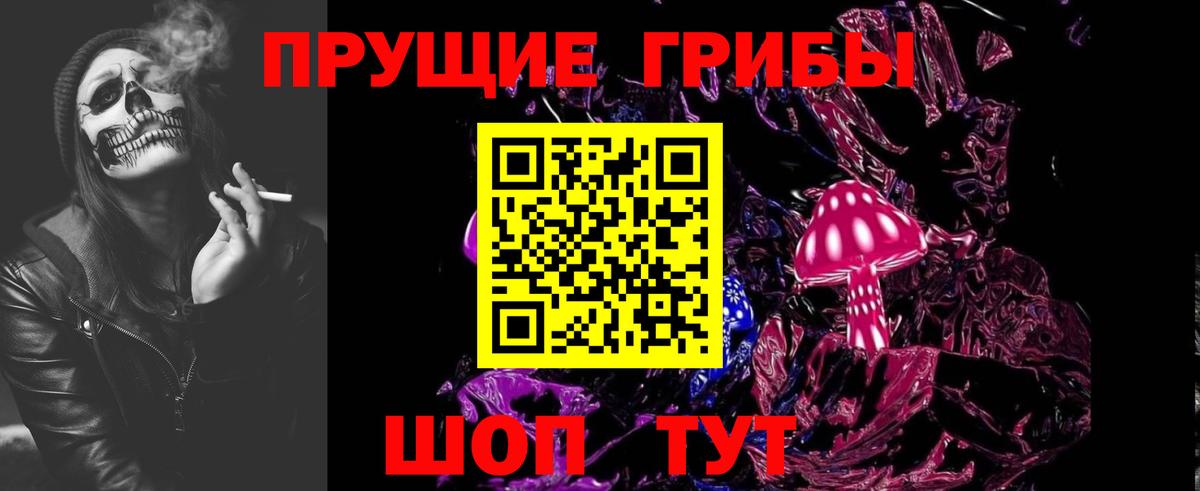 Галлюциногенные грибы Cubensis Великий Новгород