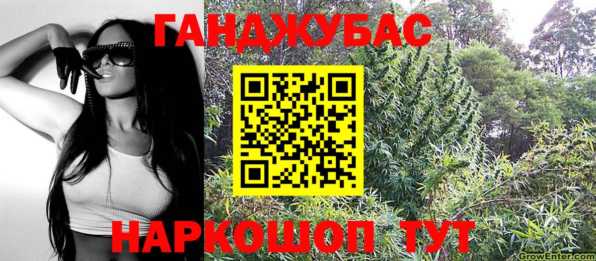 Канабис планчик Великий Новгород